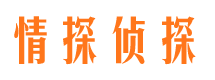 咸丰侦探